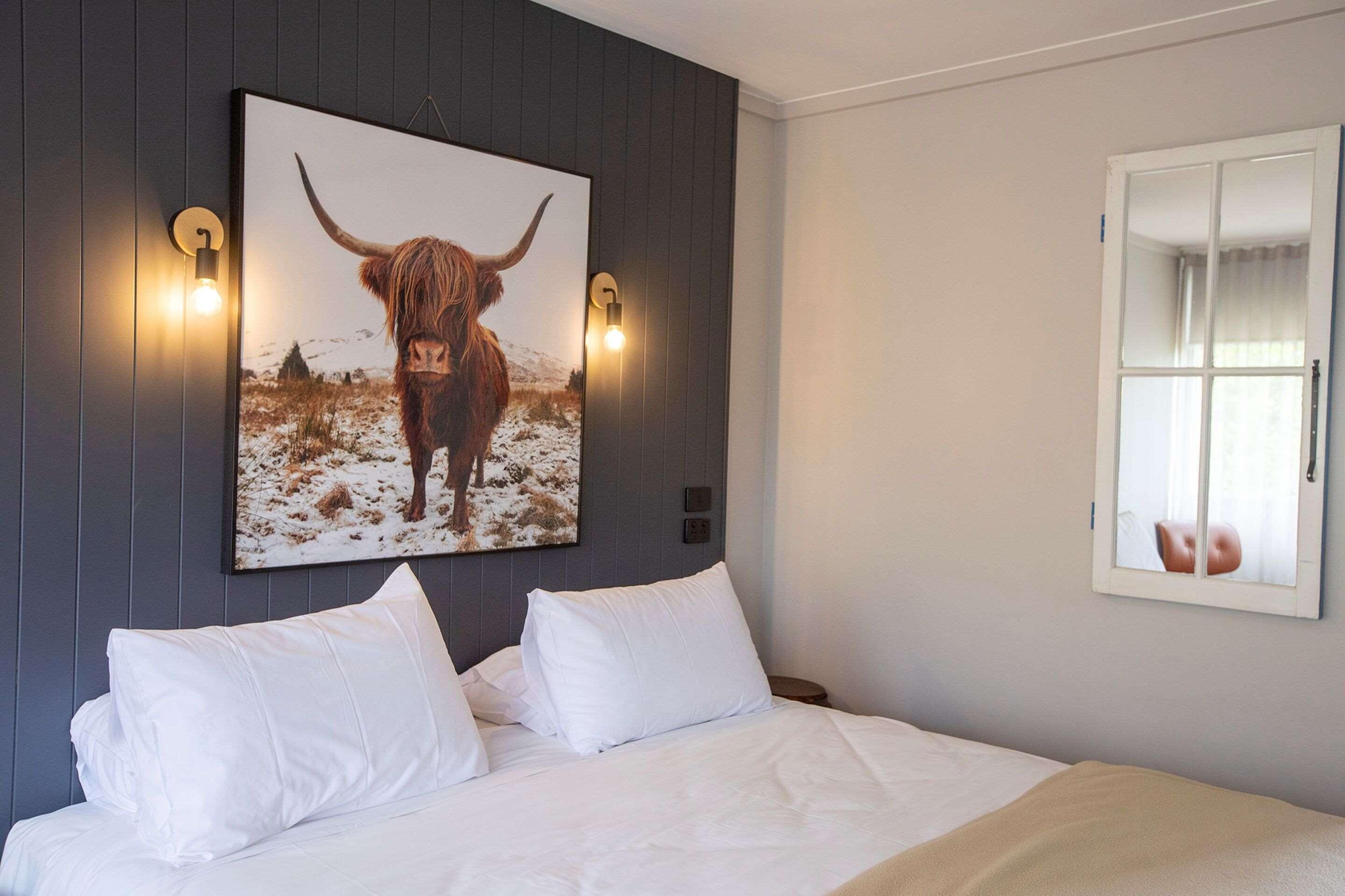 City Centre Motel Armidale Eksteriør bilde